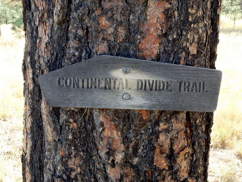 GDMBR: Old Wood Sign nailed into a tree (Continental Divide Trail).